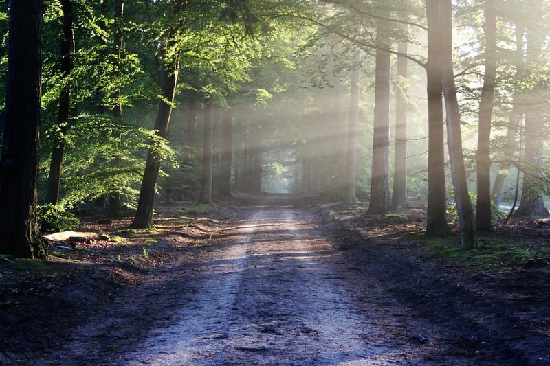 Nature Walks